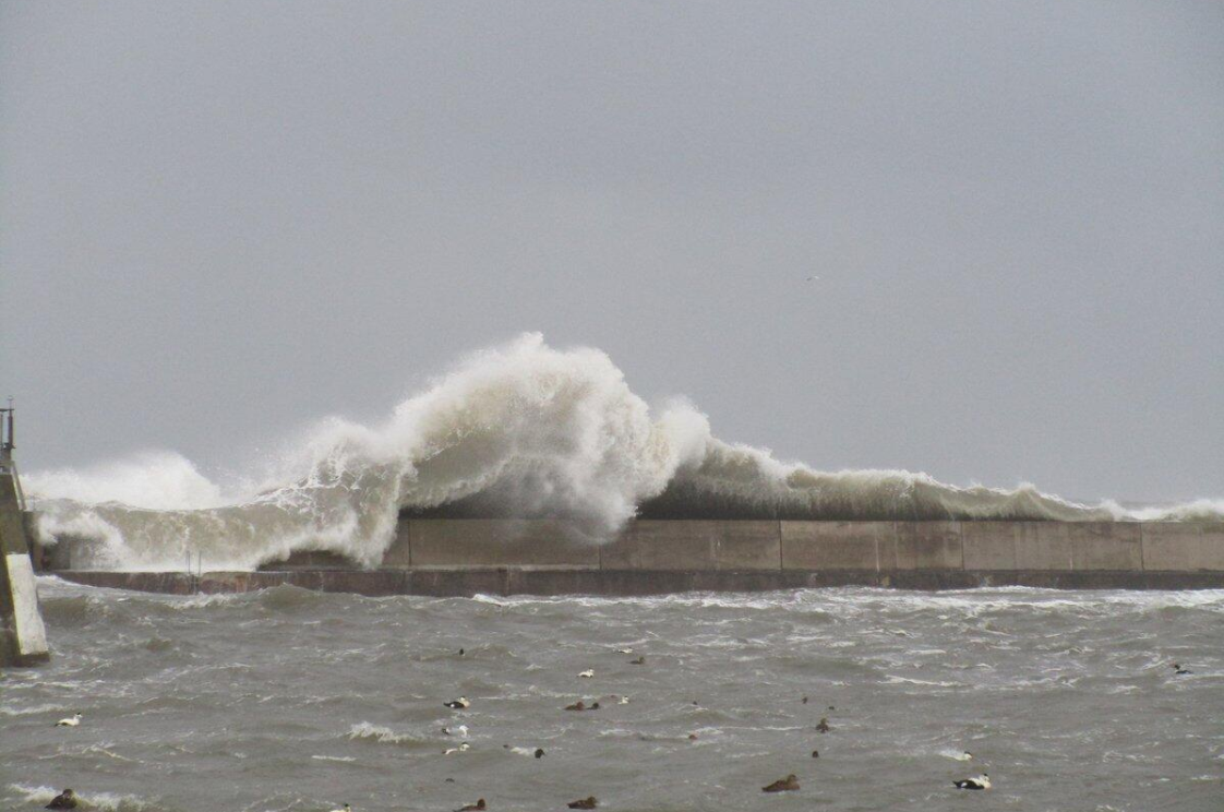 炸弹气旋卷土重来,风暴潮冲击美国一千公里海岸