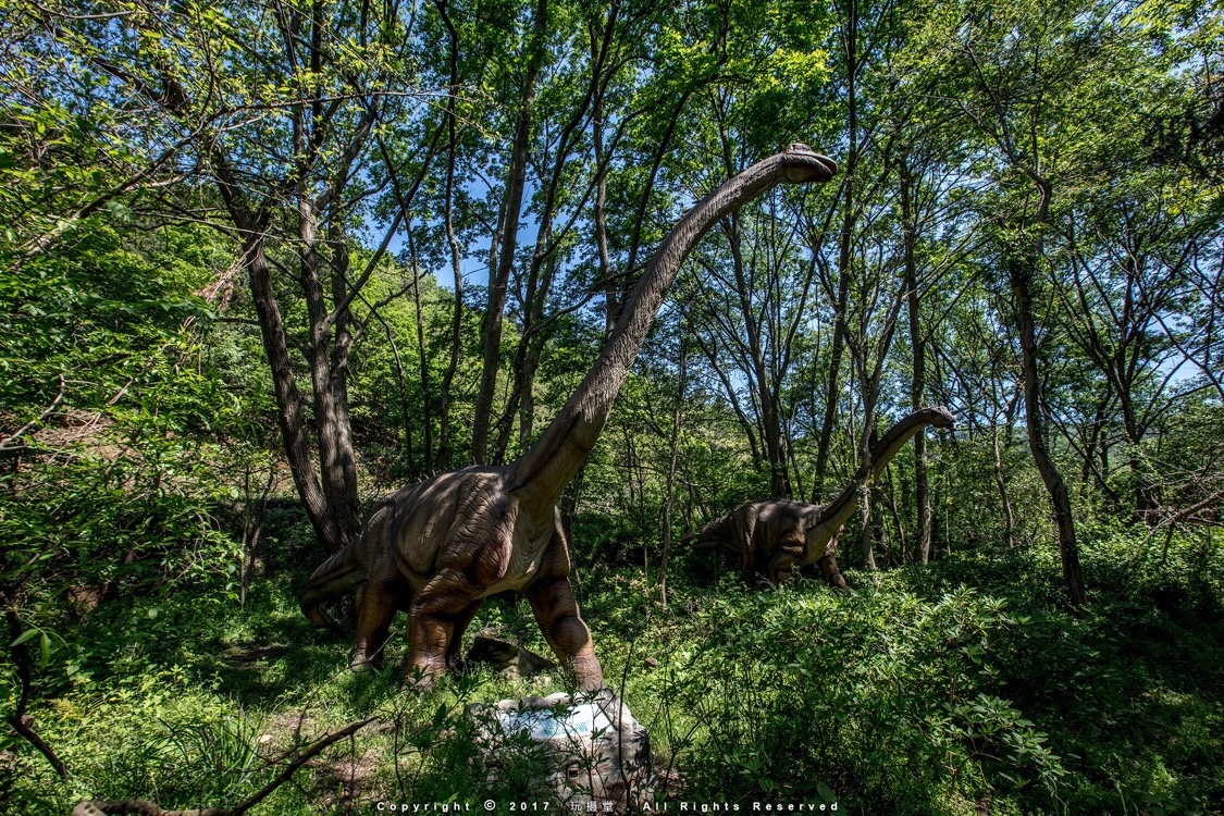 中国最大的仿真恐龙主题公园武汉云雾山恐龙谷