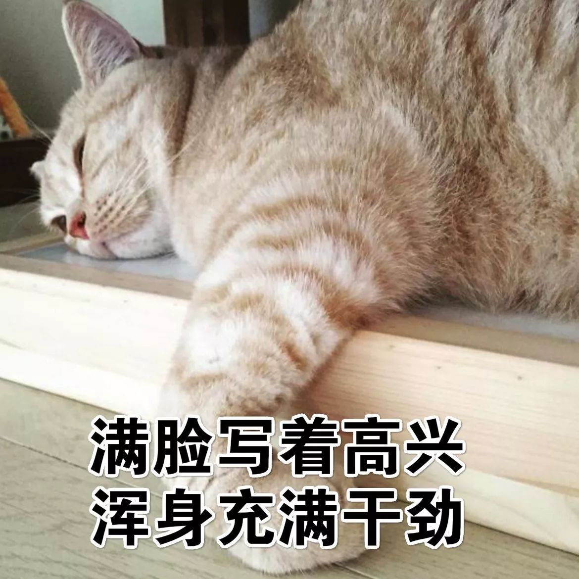 浑身充满干劲满脸写着高兴"当老板周末打腚话给你要文件的时候.