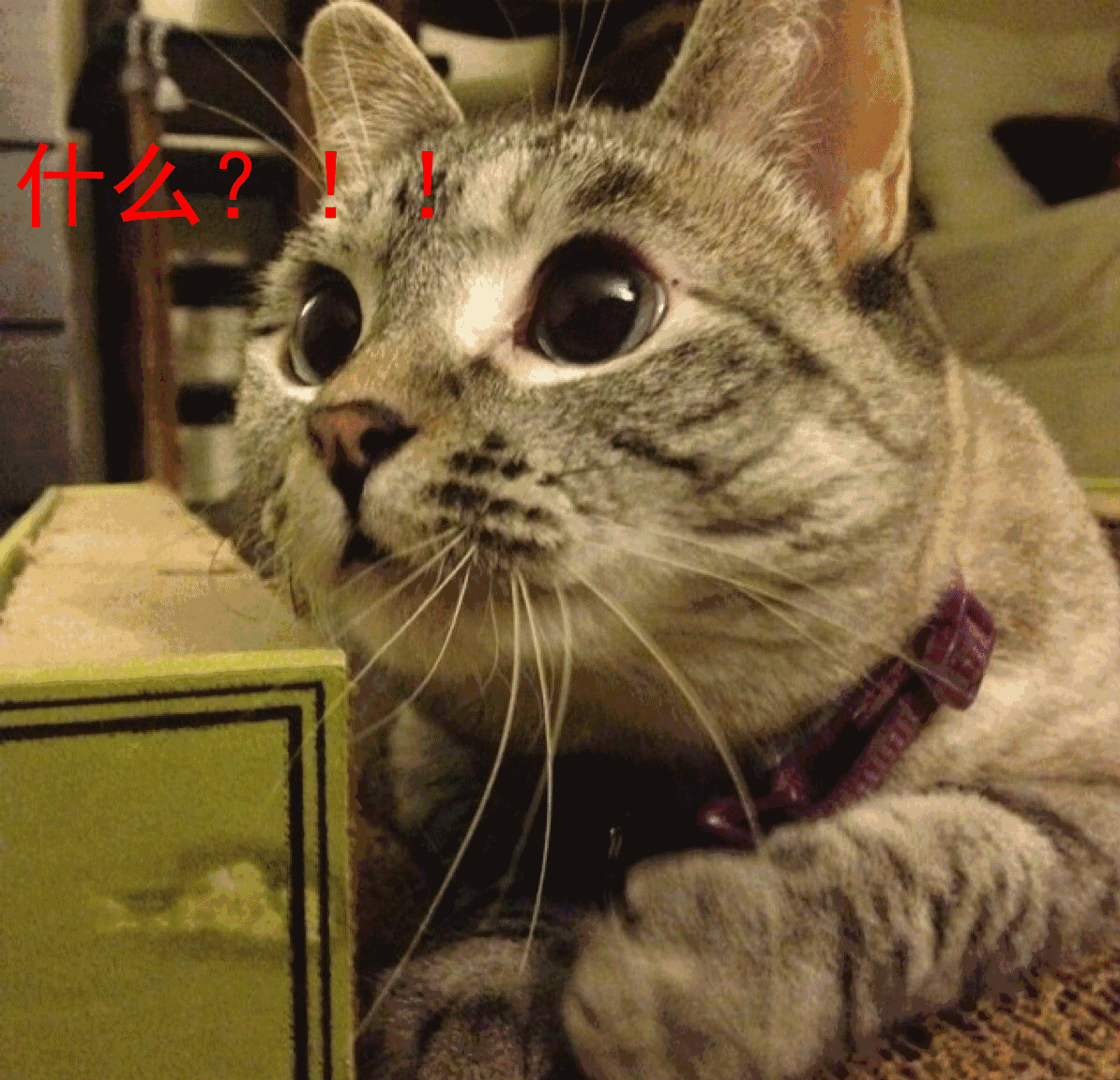 大爷大妈疯抢试吃保健品,这又是啥新套路?你必须得弄懂!