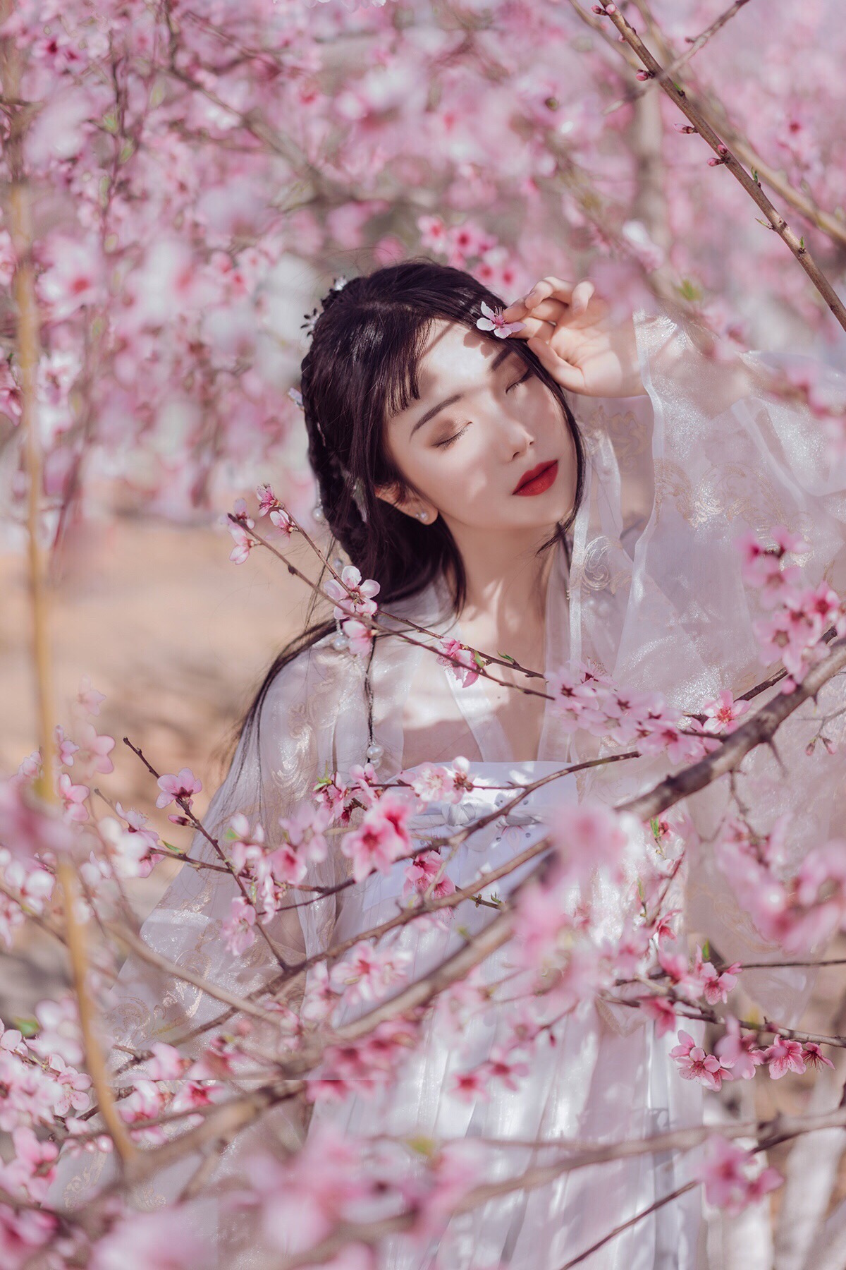 桃仙出镜