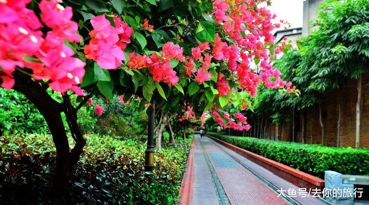 这个春天我在厦门等你