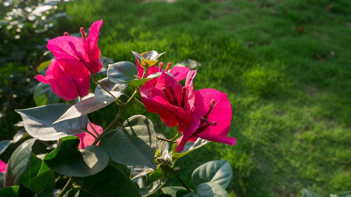 微单索尼a6000使用教程