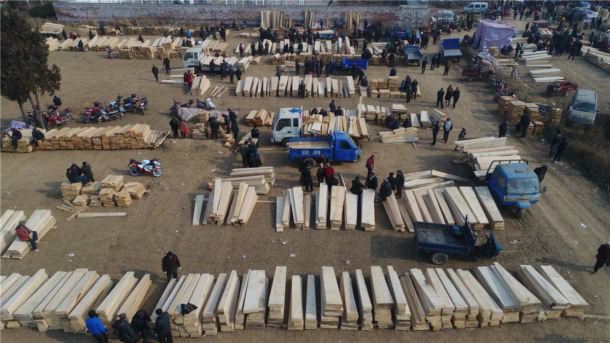 航拍棺材木料交易市场场面壮观柏木最值钱一副15000