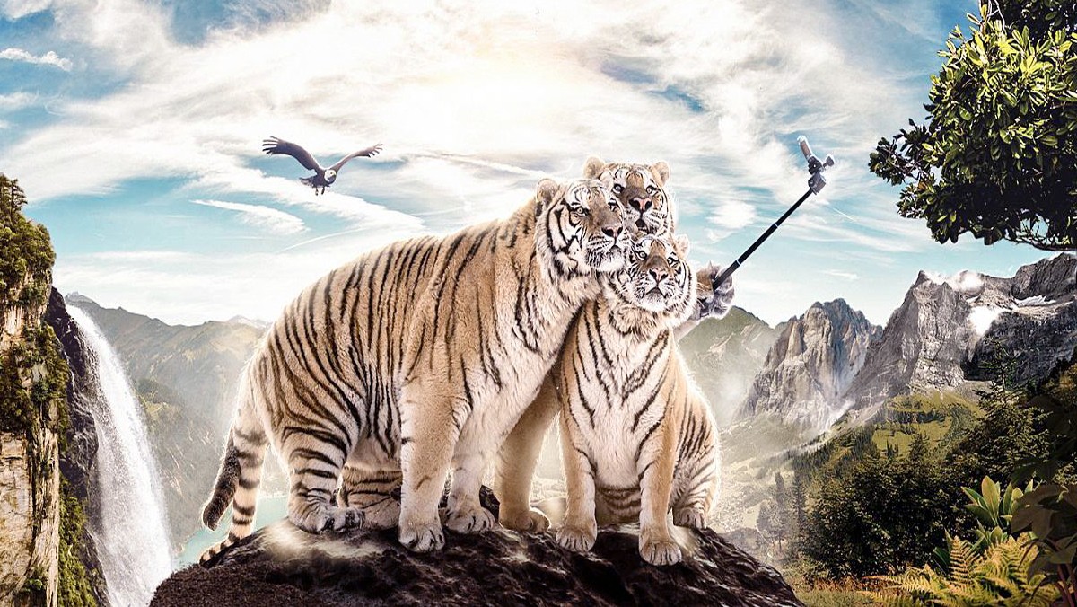 情况可能会相反