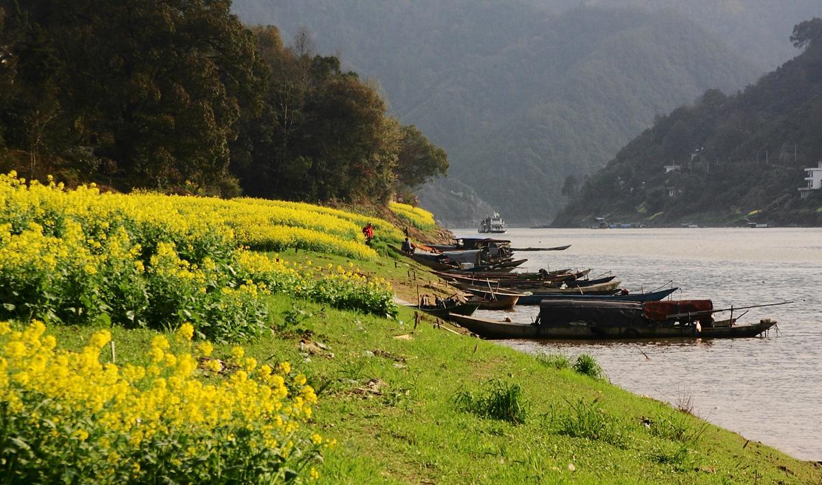 安徽这个小县,春天出游好去处,藏着水中乡村,你去过吗