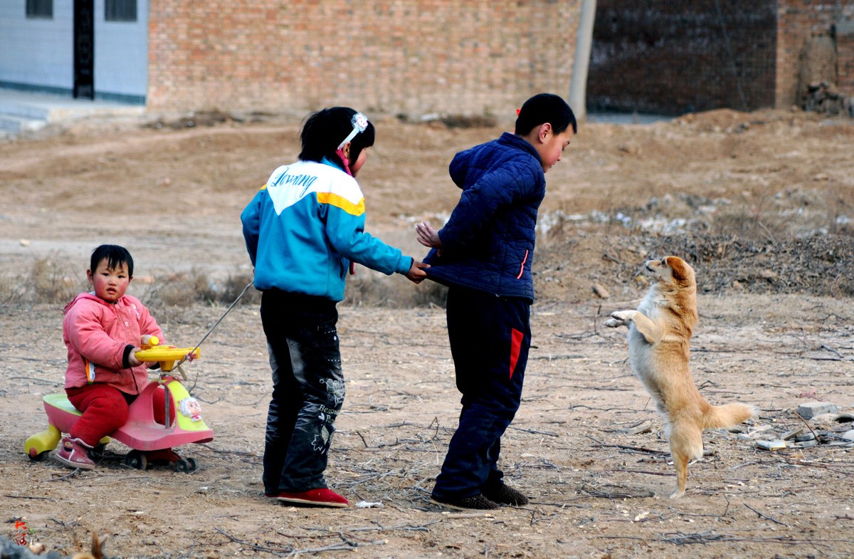小孩和狗狗相处的图片(2)-壁纸高清
