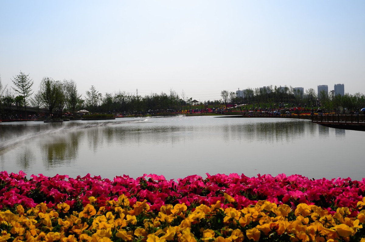 浐灞国家湿地公园自然风光