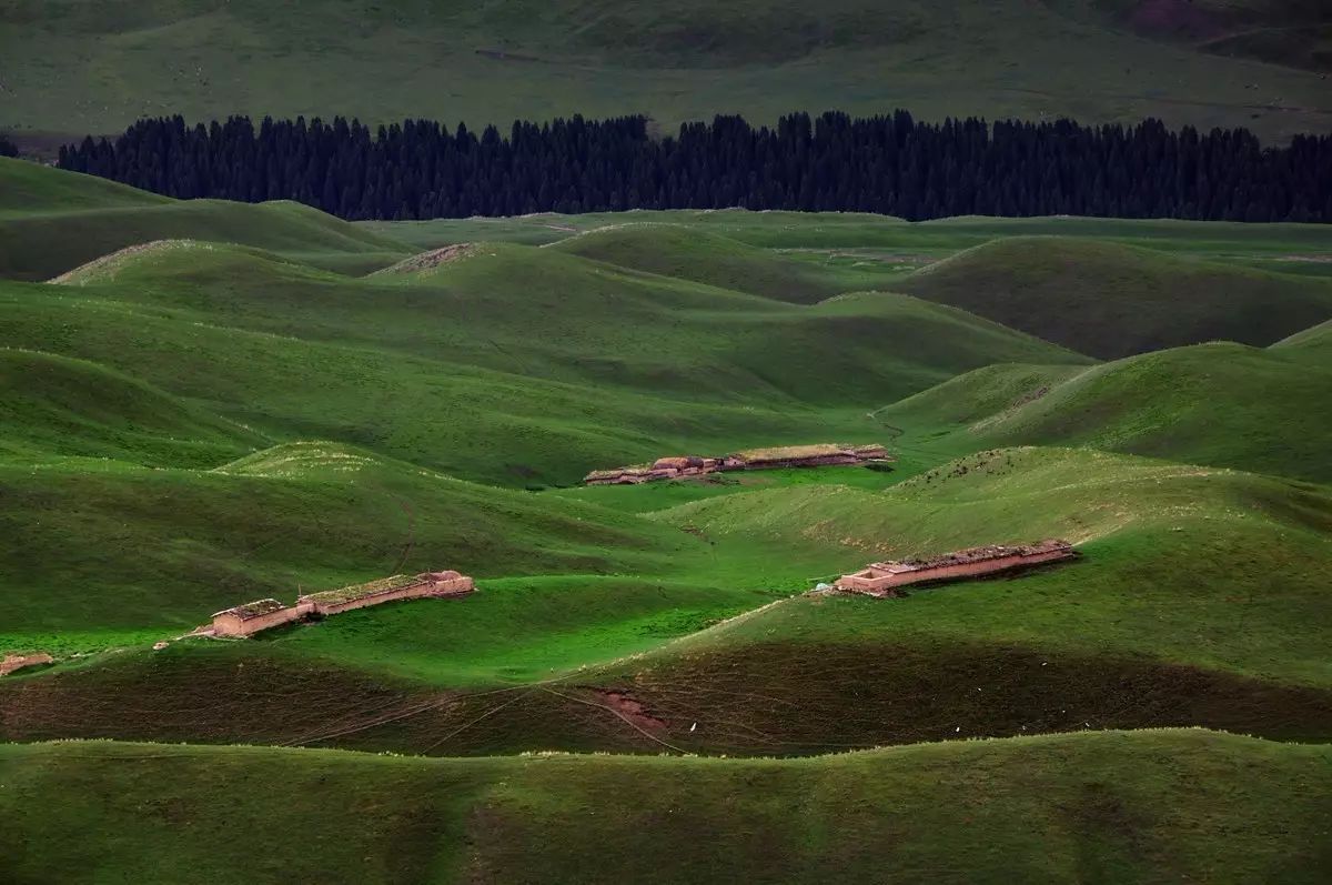 眼前呈现一片深浅各异的绿色组成的画面,两山之间一片波状起伏的草场.