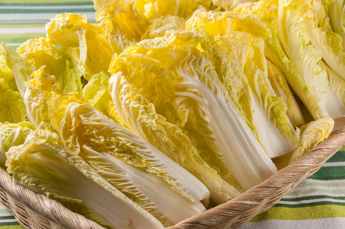 甲醛|娃娃菜|牛百叶_新浪网