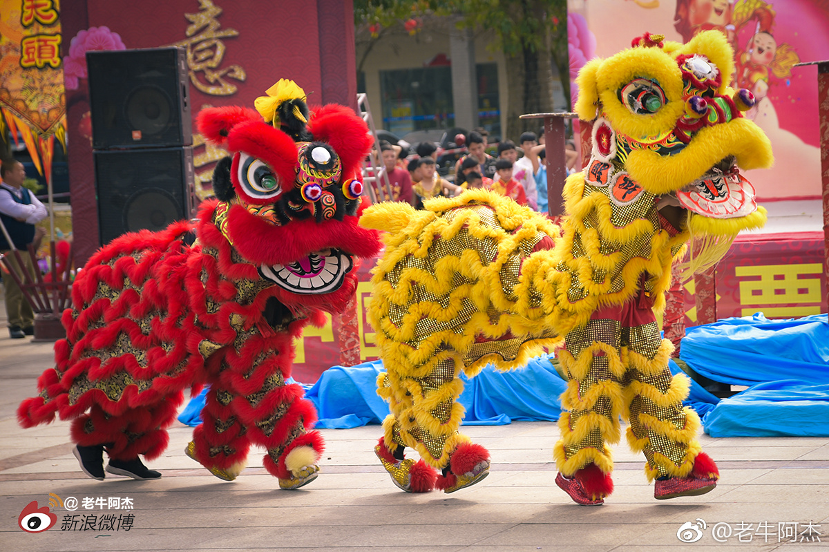 年初三县府广场的醒狮表演,拍摄于封开县.
