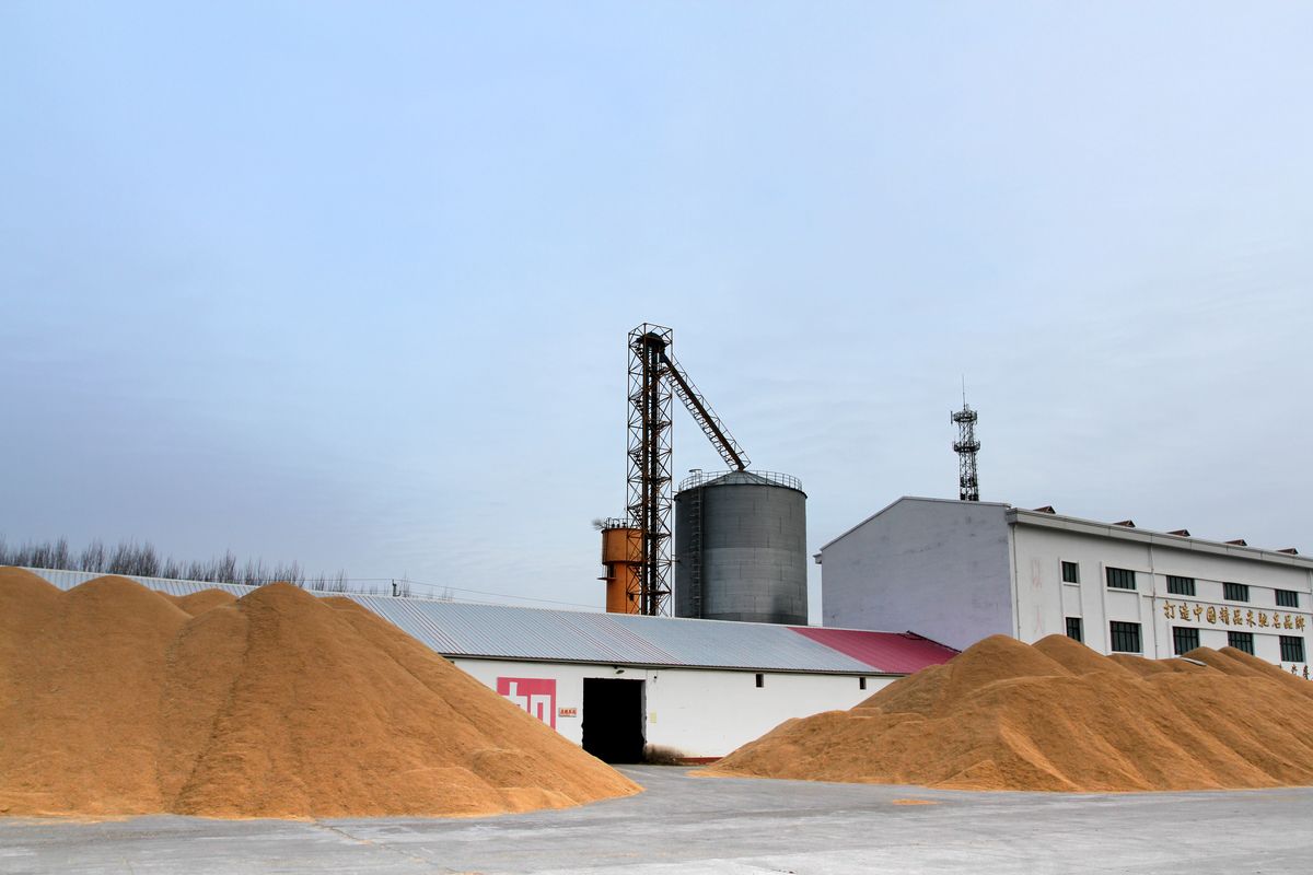 山东菏泽一粮库7名作业人员被掩埋 6人死亡