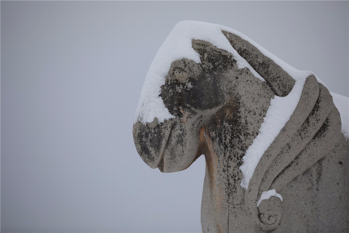 唐贞陵积雪厚40公分 石人造像戴上雪"围脖"萌态可掬