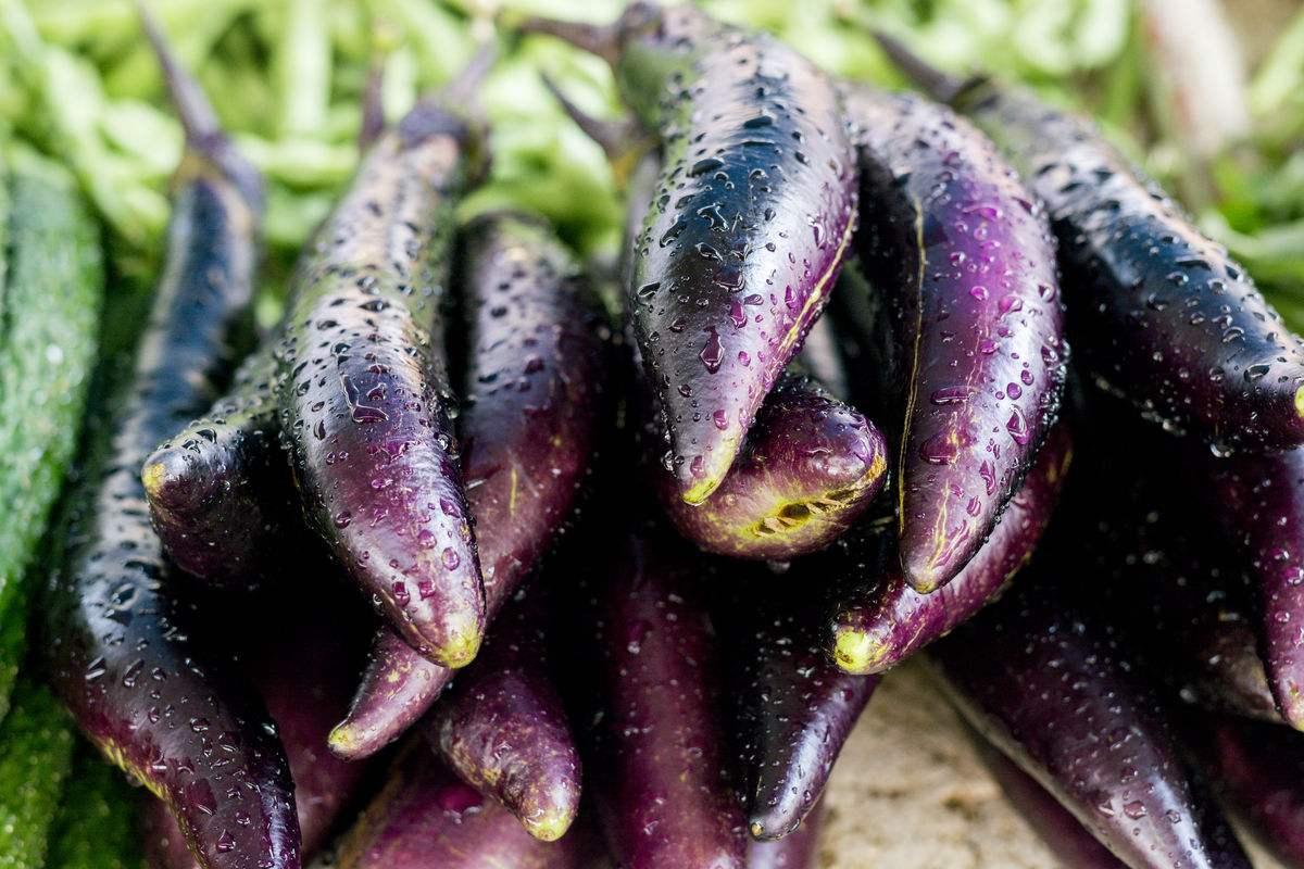 农村这种紫皮蔬菜,对降血糖,降血脂有辅助作用!很多却吃错了