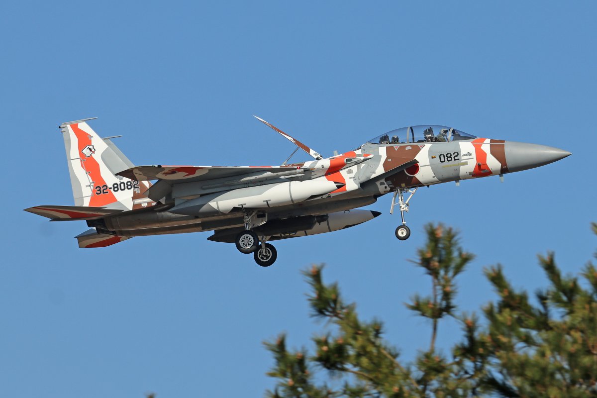 这架编号为32-8082的f-15dj战斗机,是空自采购f-15的第11批次的第2架.