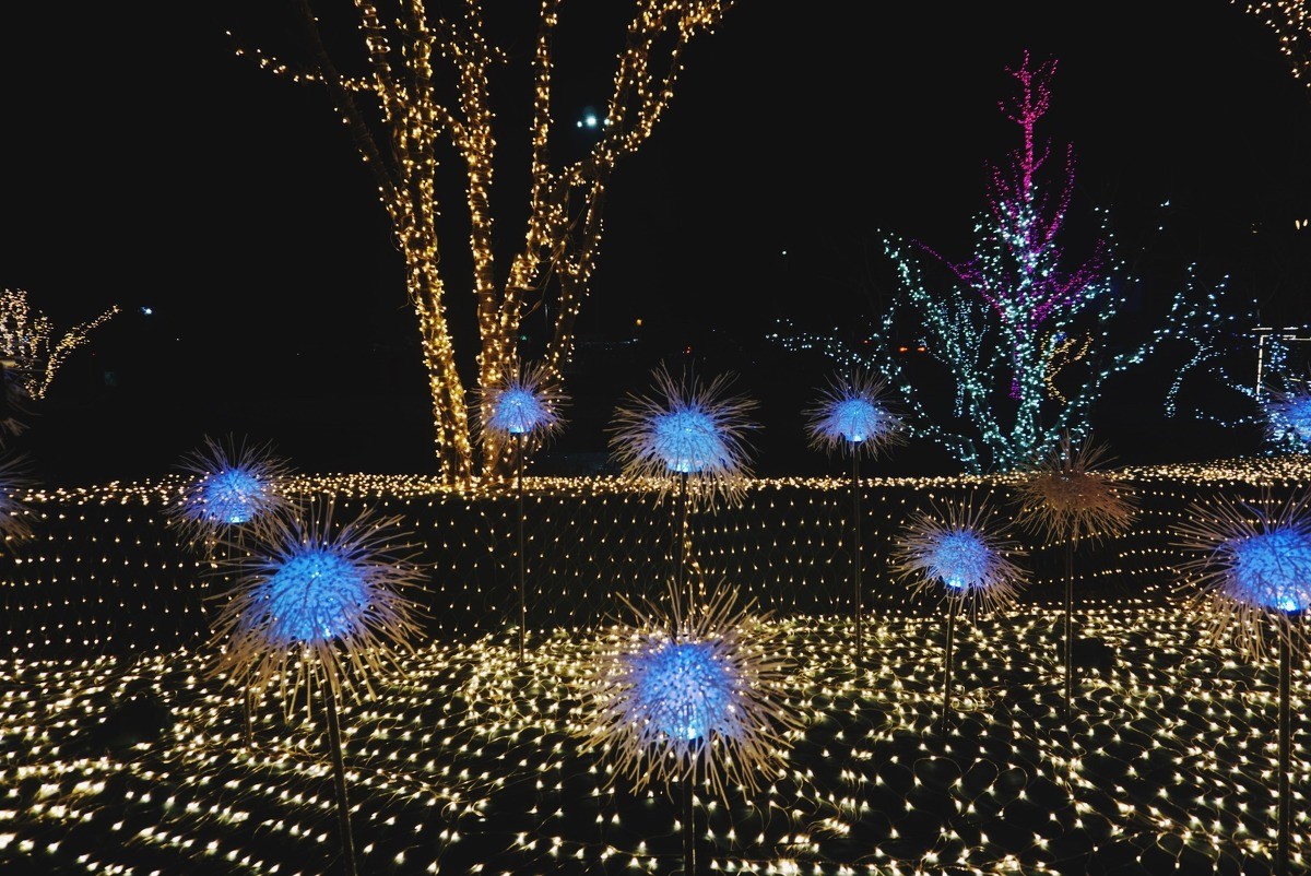 火树银花蓝色港湾