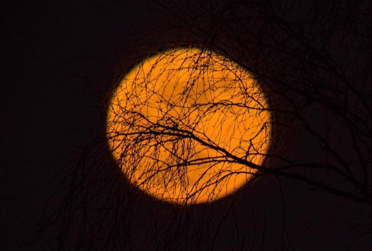 五张拍摄于世界各地的蓝血月亮照片,每一张都是一段故事!