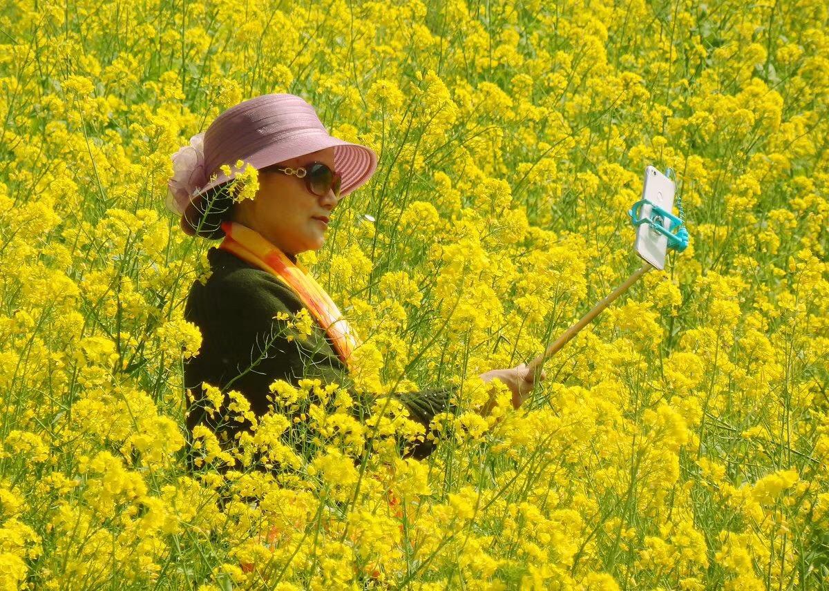 中年女性三八节出游赏油菜花,大玩自拍心情很不错!