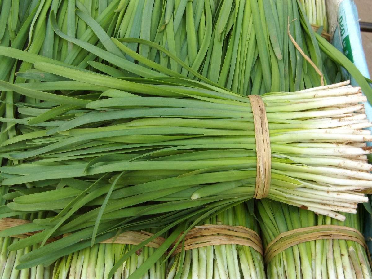 韭菜馅饺子好吃, 毒韭菜难防, 大过年你别躺着中枪