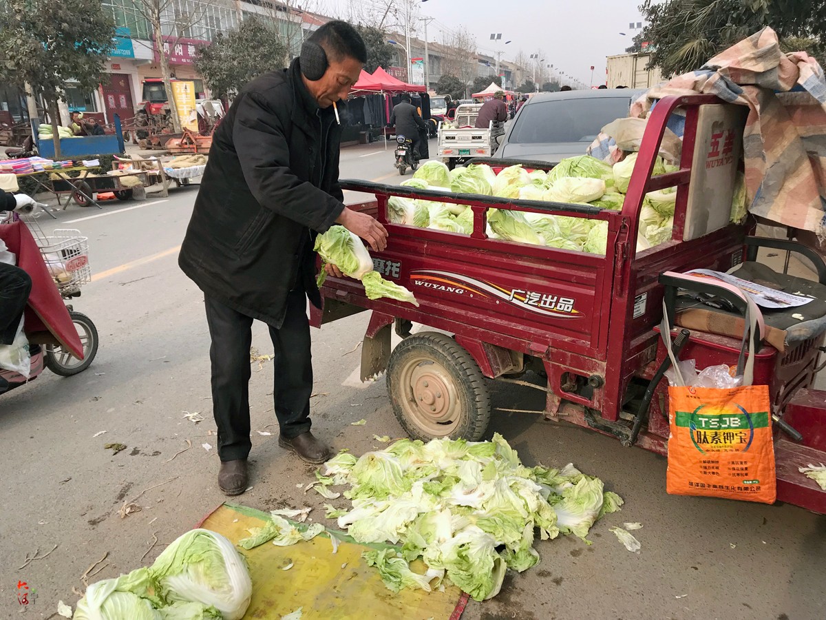 农村大爷集市卖白菜1块钱3斤,熟人10元买一大袋临走还送仨