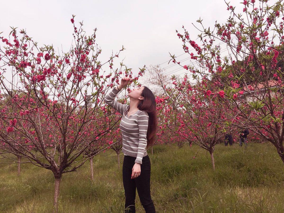 佛山有个桃花之乡, 是佛山新八景之一