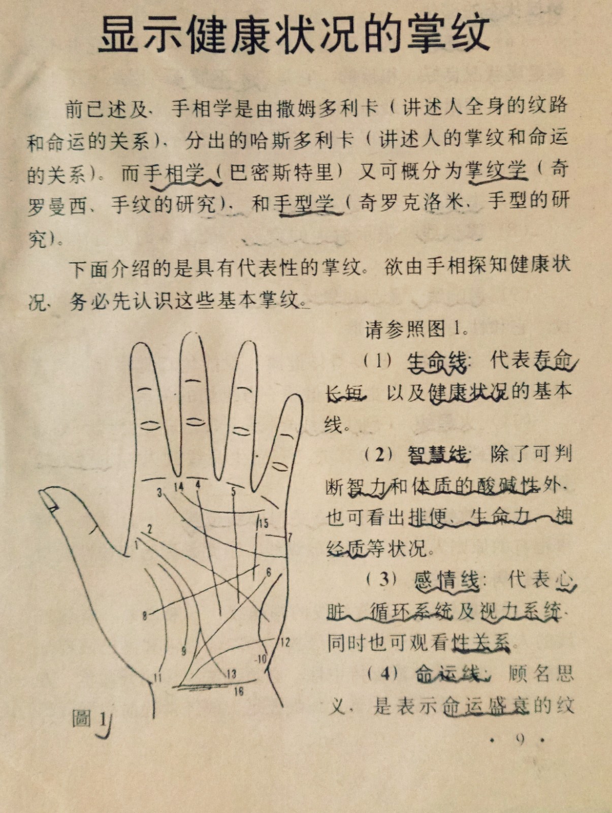 健康掌纹的含义