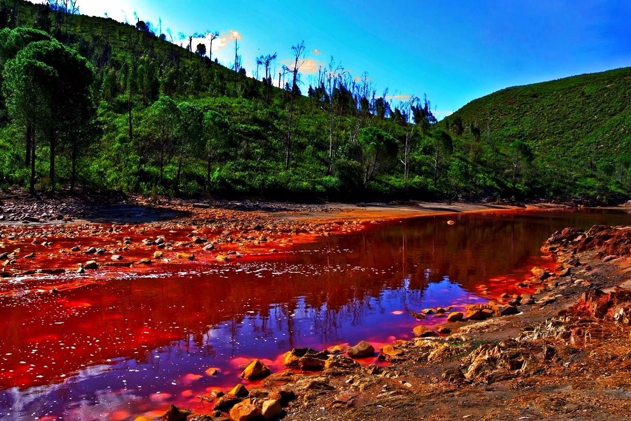 竟然能做俯卧撑,后空翻都没问题!