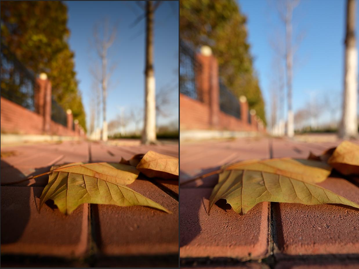 zeiss t* 12 vs 15!|蔡司|全画幅|索尼_新浪新闻