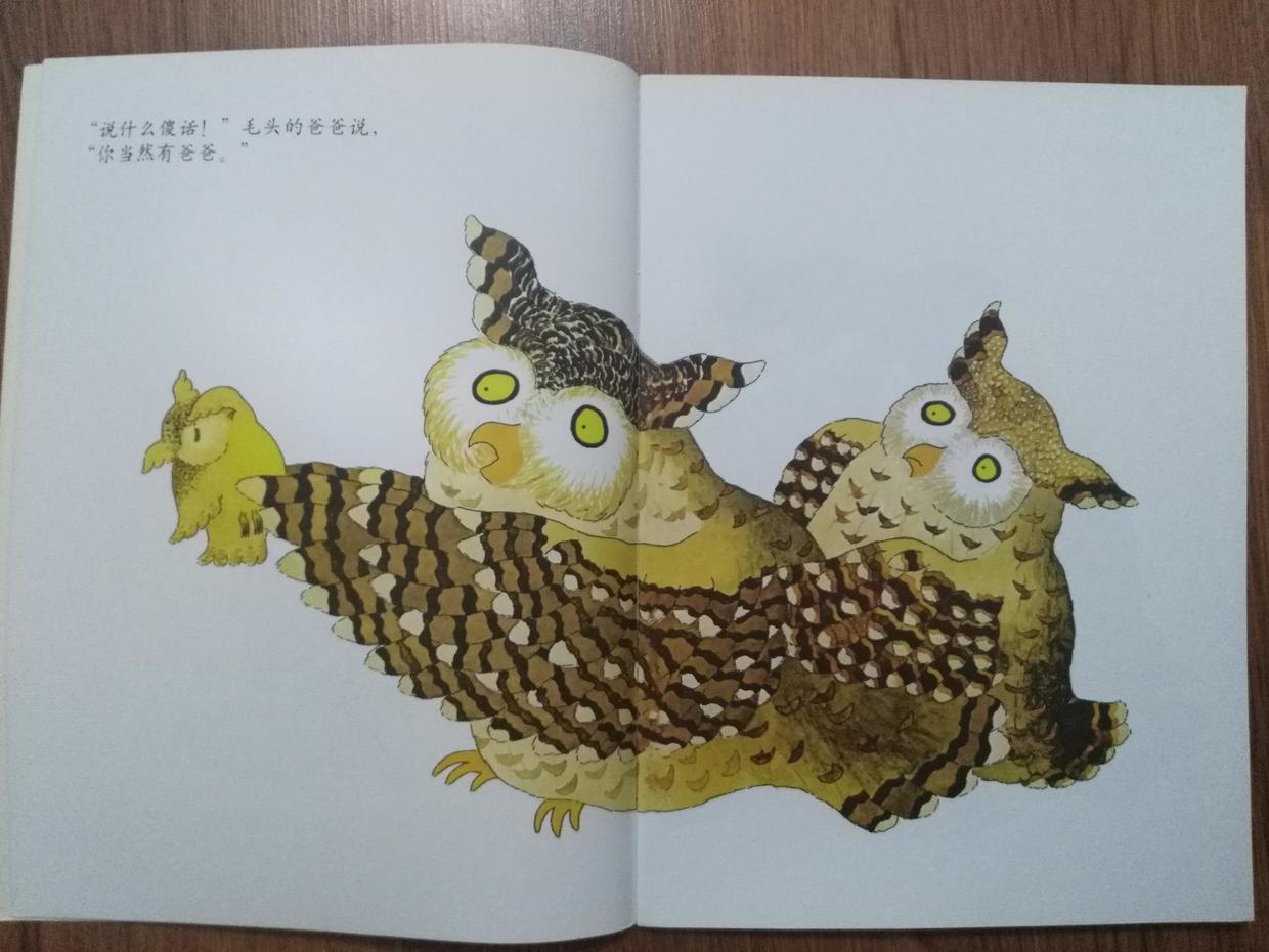 《毛头小鹰》的未来,其实也可能是我们孩子的未来