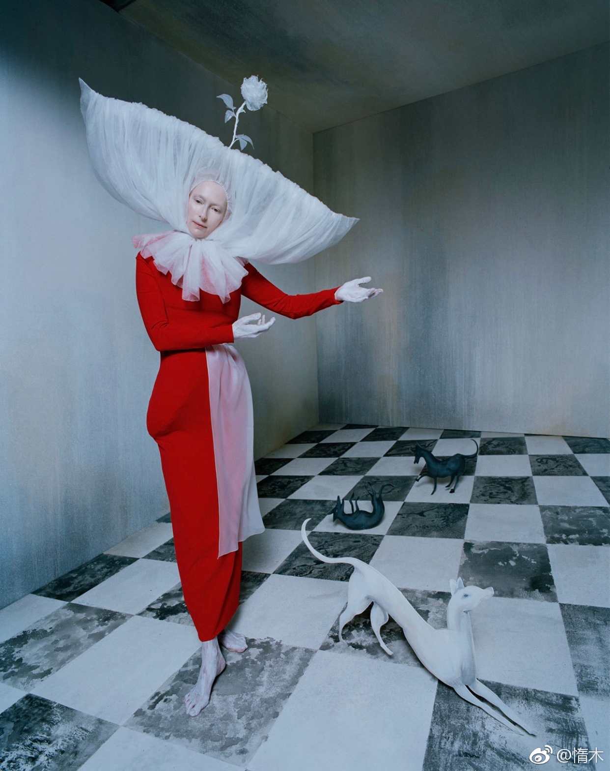 时尚摄影师tim walker