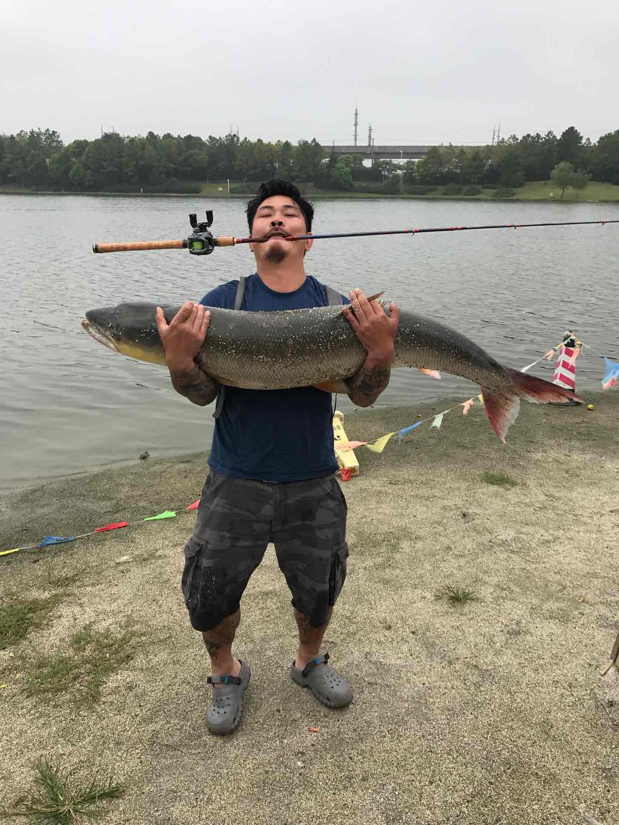 上海宝山区公园湖,市民钓起四十斤黄箭鱼,欲放生却遭管理员制止