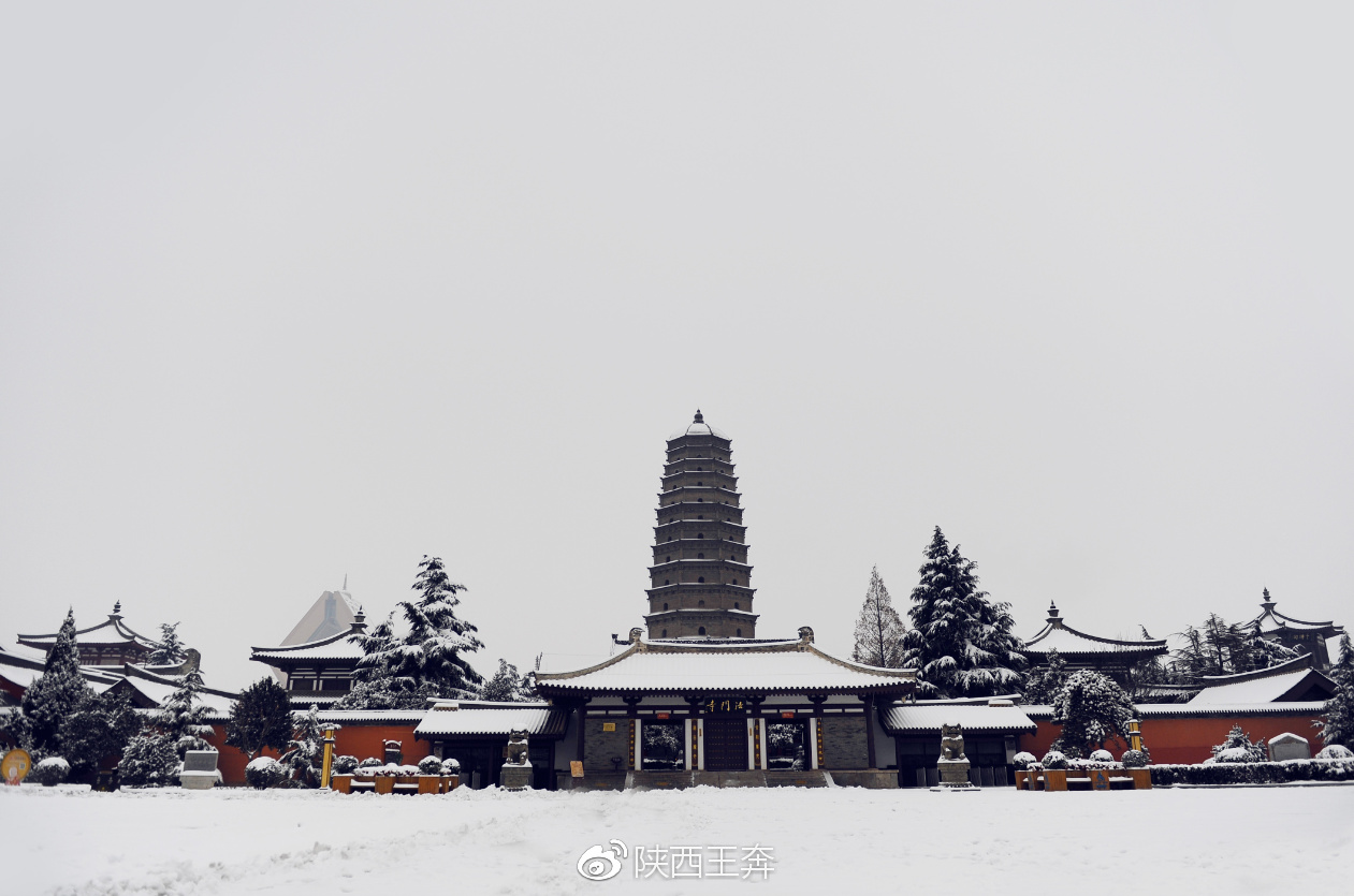 法门寺现"醉"美雪景 银装素裹宛如仙境