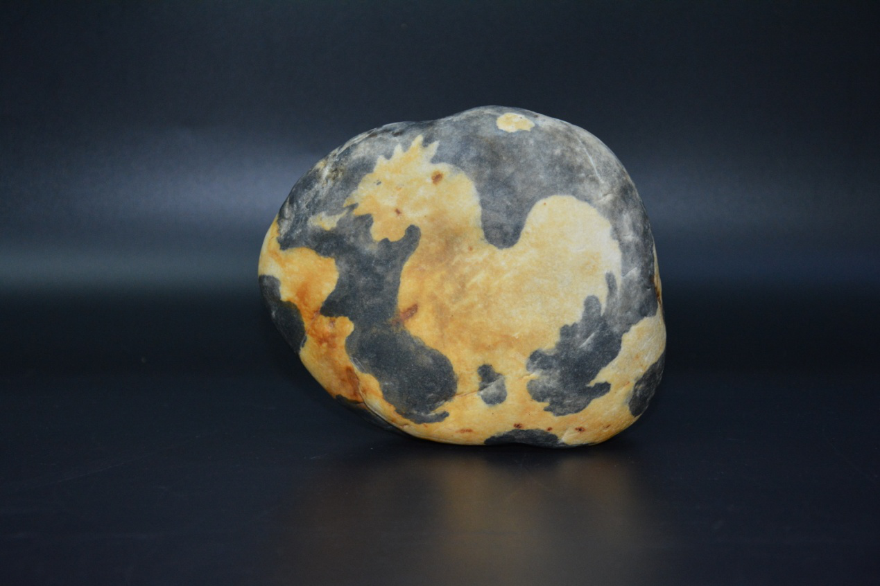 一鸣惊人的天然奇石"金鸡吐火"神奇多姿