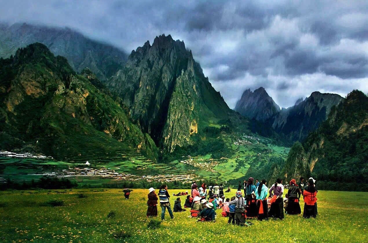 甘南经验丰富的网络公司 服务电话 舞蹈地胶板厂家哪个好 茶叶的生长特点及优势产区分布