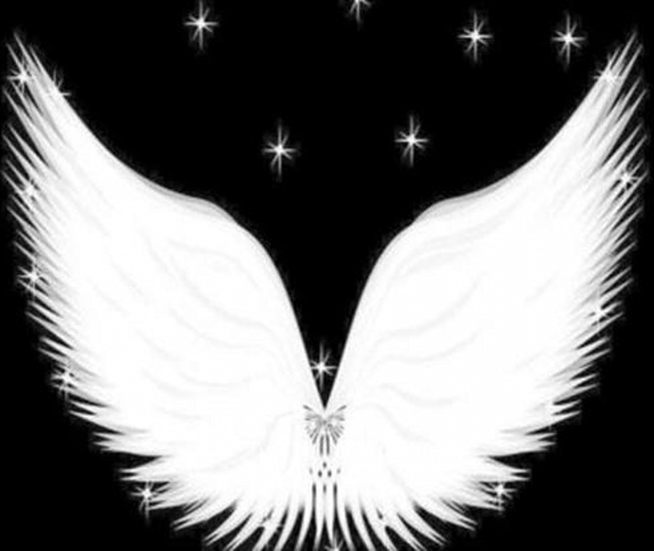 叶罗丽测试你认为哪款翅膀最亲切测前世的你是哪族神灵超准