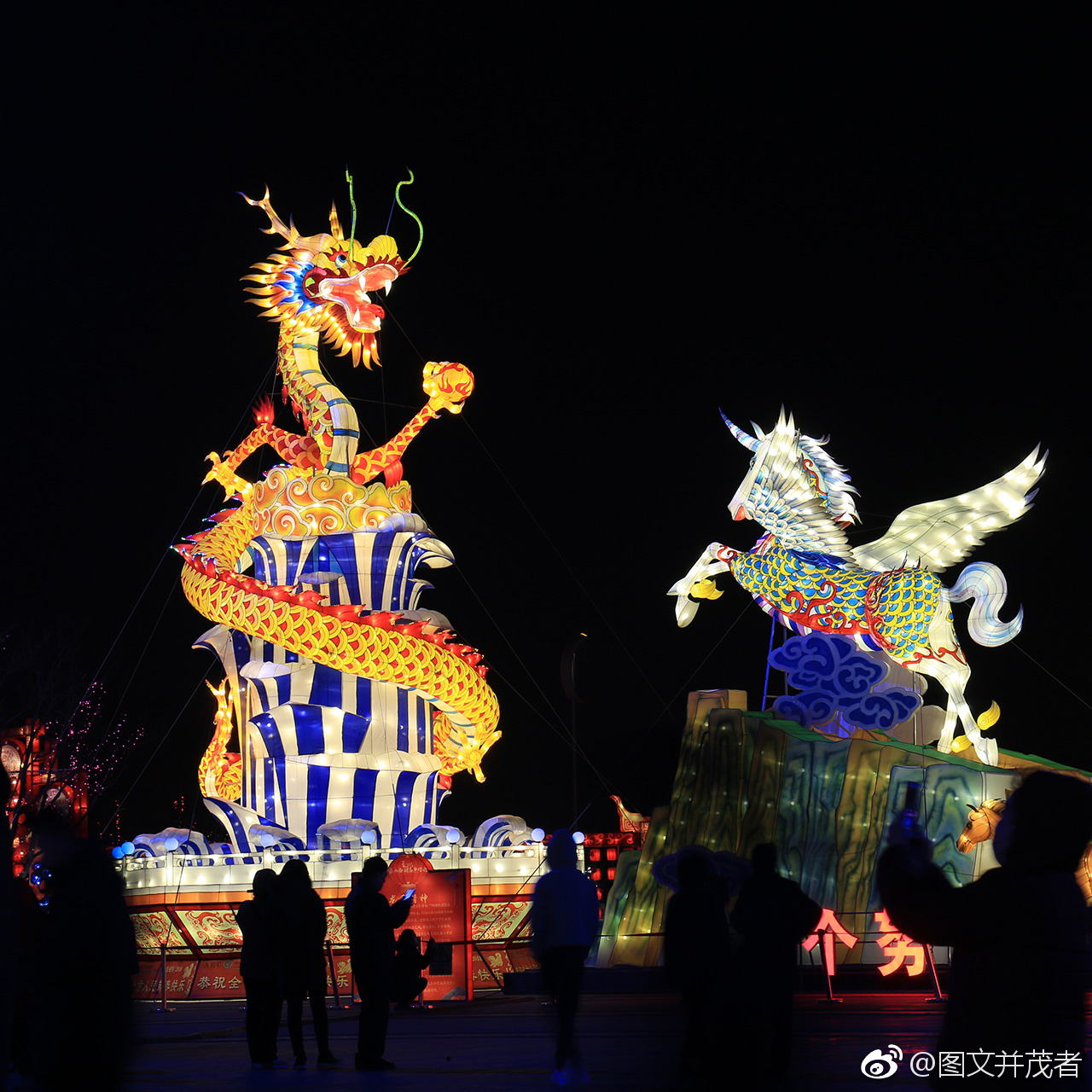 参观灯展.拍唐山南湖公园