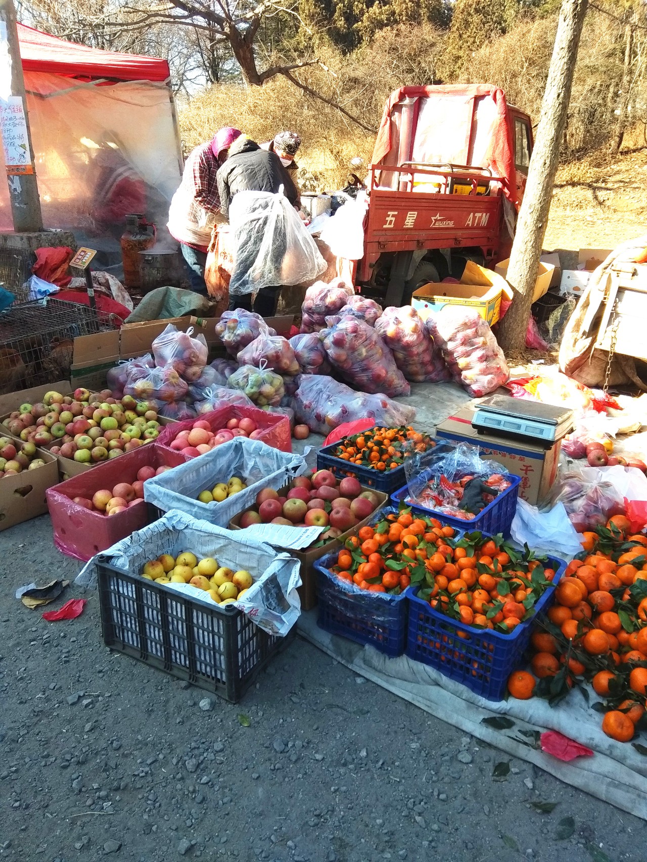 走,去浪头赶集去!