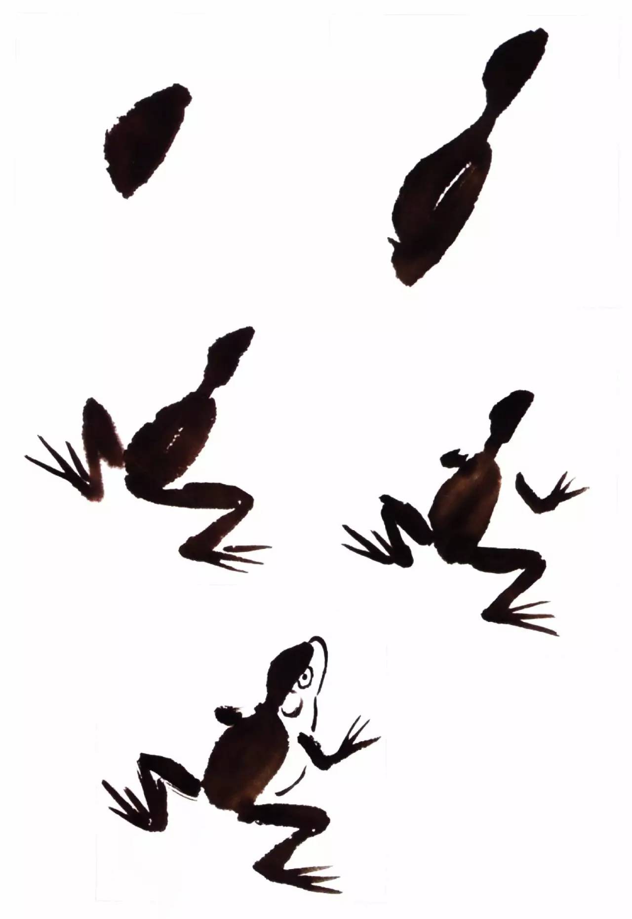 "蛙声十里出山泉",学青蛙与蝌蚪的写意画法