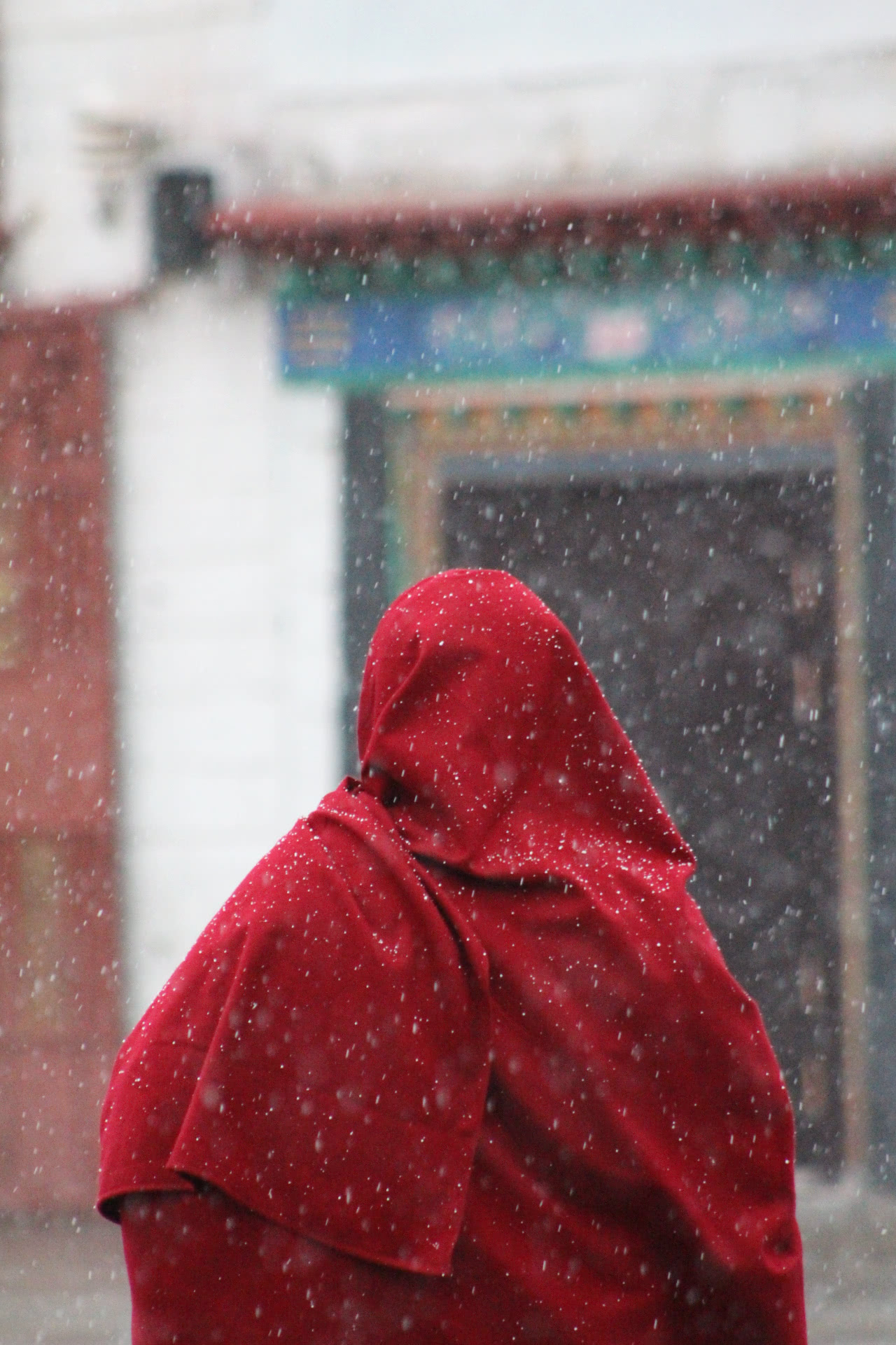 快乐佛系修行者:听得了梵音,又悟得尘世