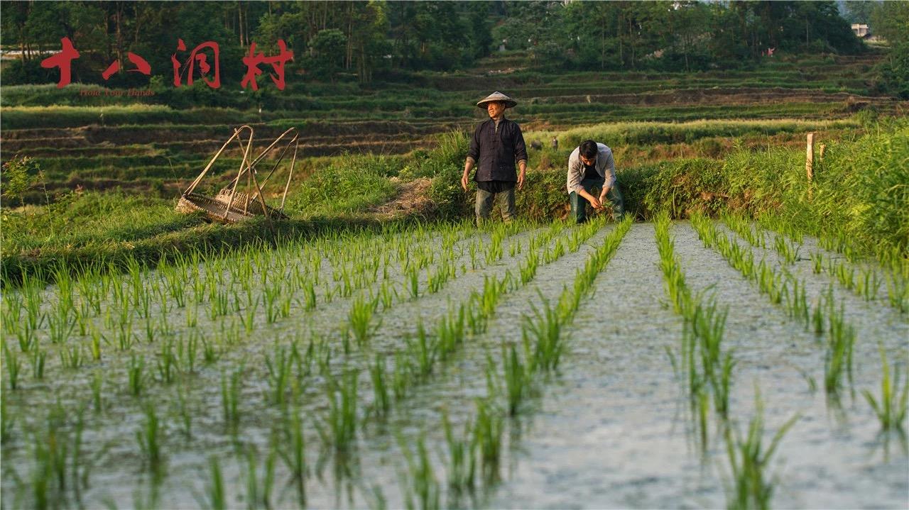 十八洞村安得良田千百亩全村寒士俱欢颜