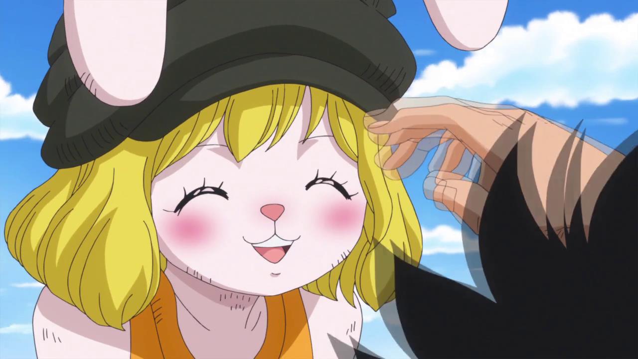 缺少故事的加洛特会登上路飞的船但她的身份跟你想象的不一样