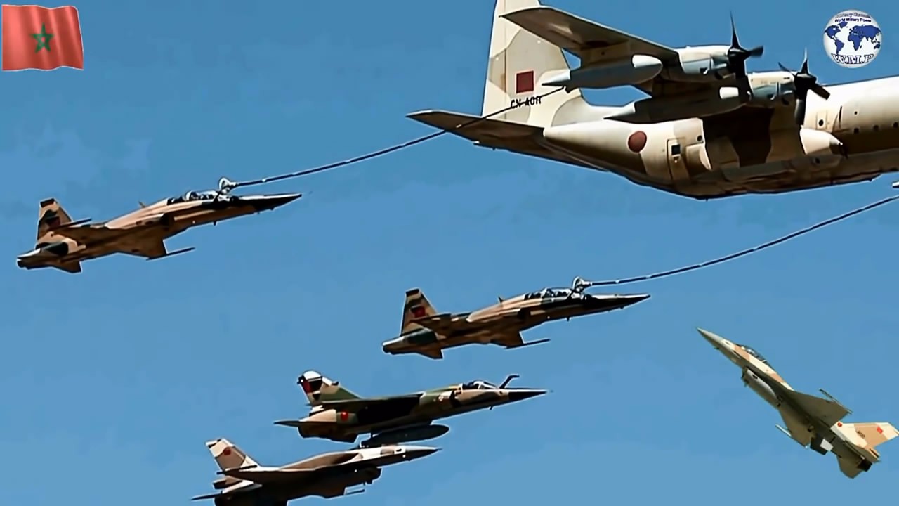 《红海行动》群演摩洛哥军队并非战五渣 曾多次参加中东战争