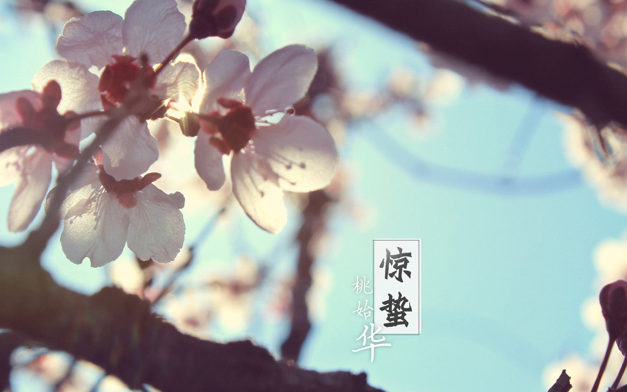 mysql如何新建一个数据库