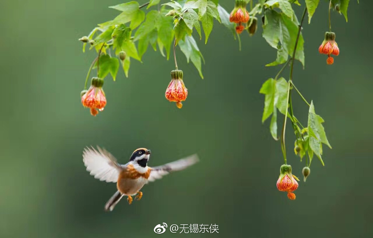 草长莺飞,春暖花开