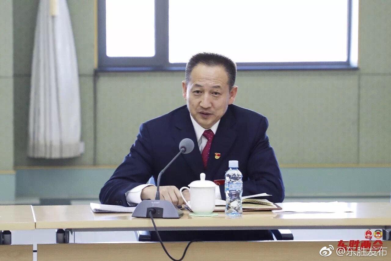 马玉清参加区九届人大一次会议分组讨论