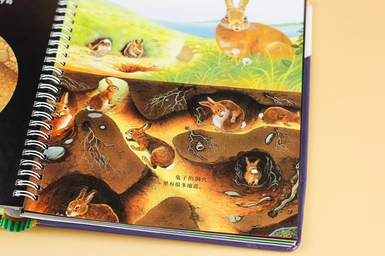 神奇「手电筒」,带孩子观察恐龙,小动物,黑暗中的世界!