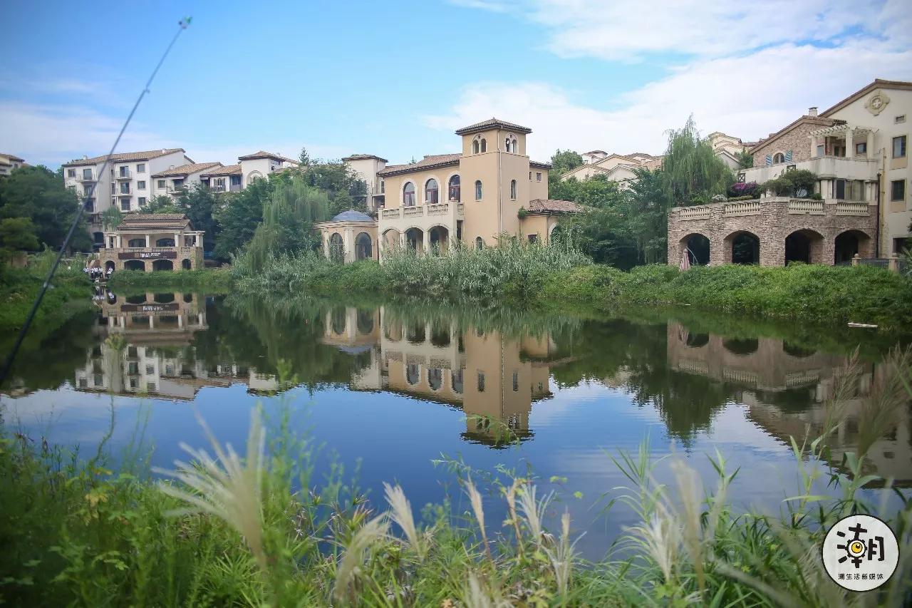 我们把过去一年的成都,做成了高清手机壁纸,美爆了!