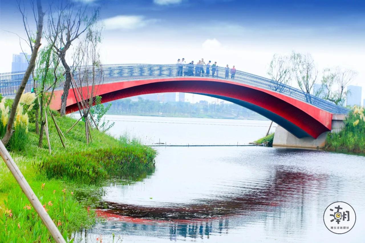 我们把过去一年的成都,做成了高清手机壁纸,美爆了!