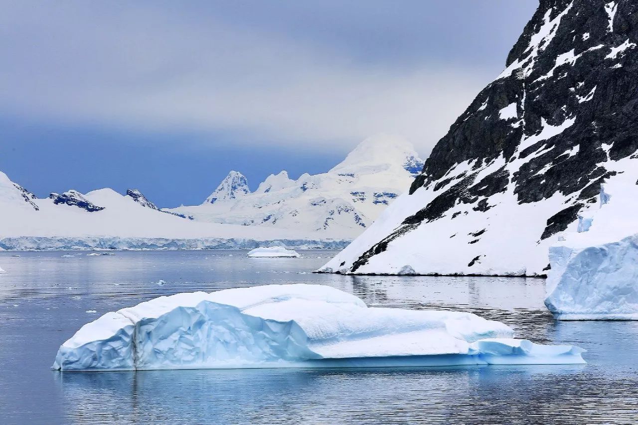 南极顶级 邮轮之旅
