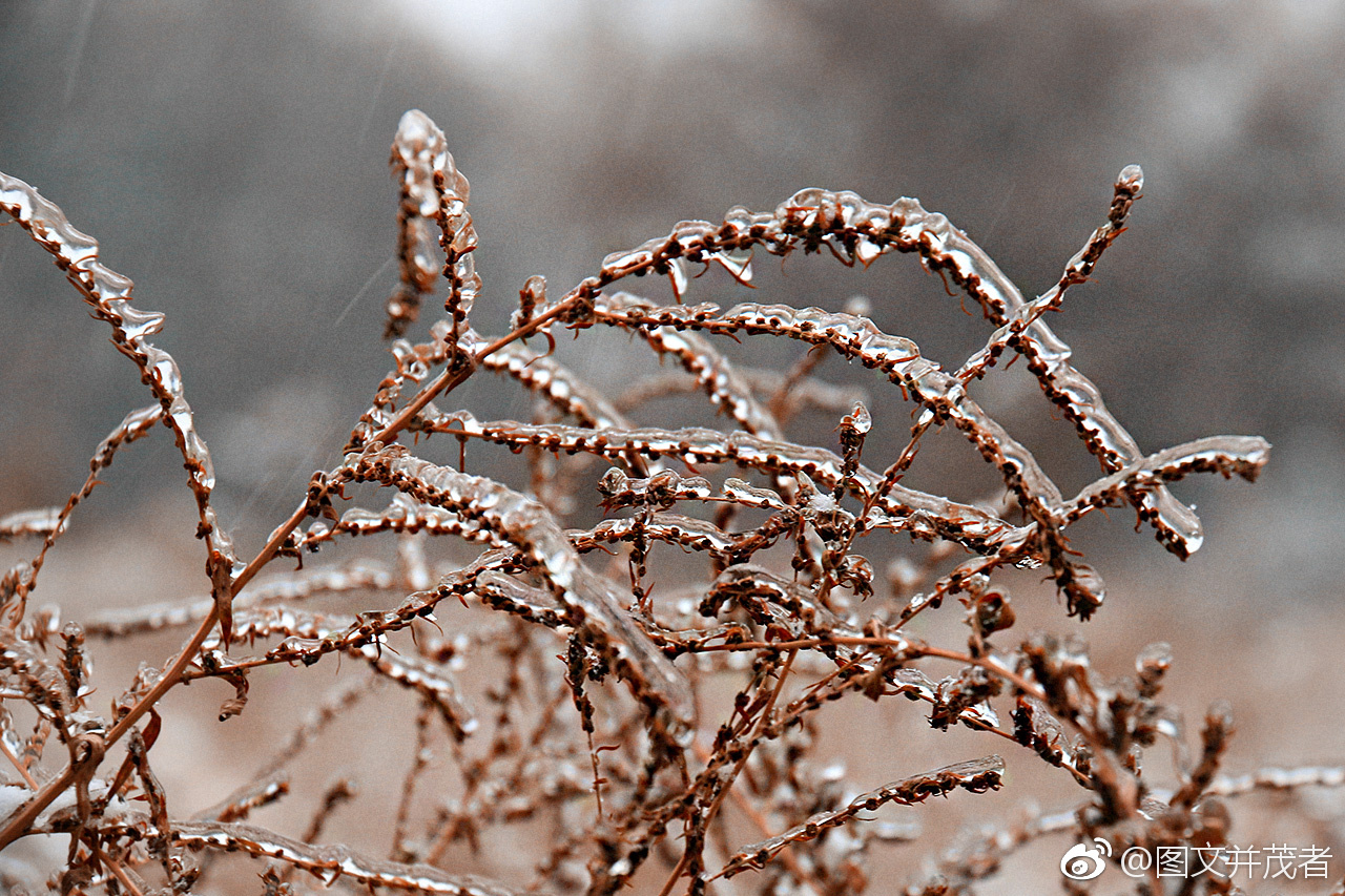 还没有来得及准备,就雨雪交加了